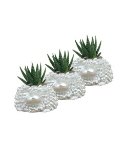 Mini Çiçek Saksı Küçük Sukulent Gümüş Kaktüs Saksısı 3'lü Set Koyun Model